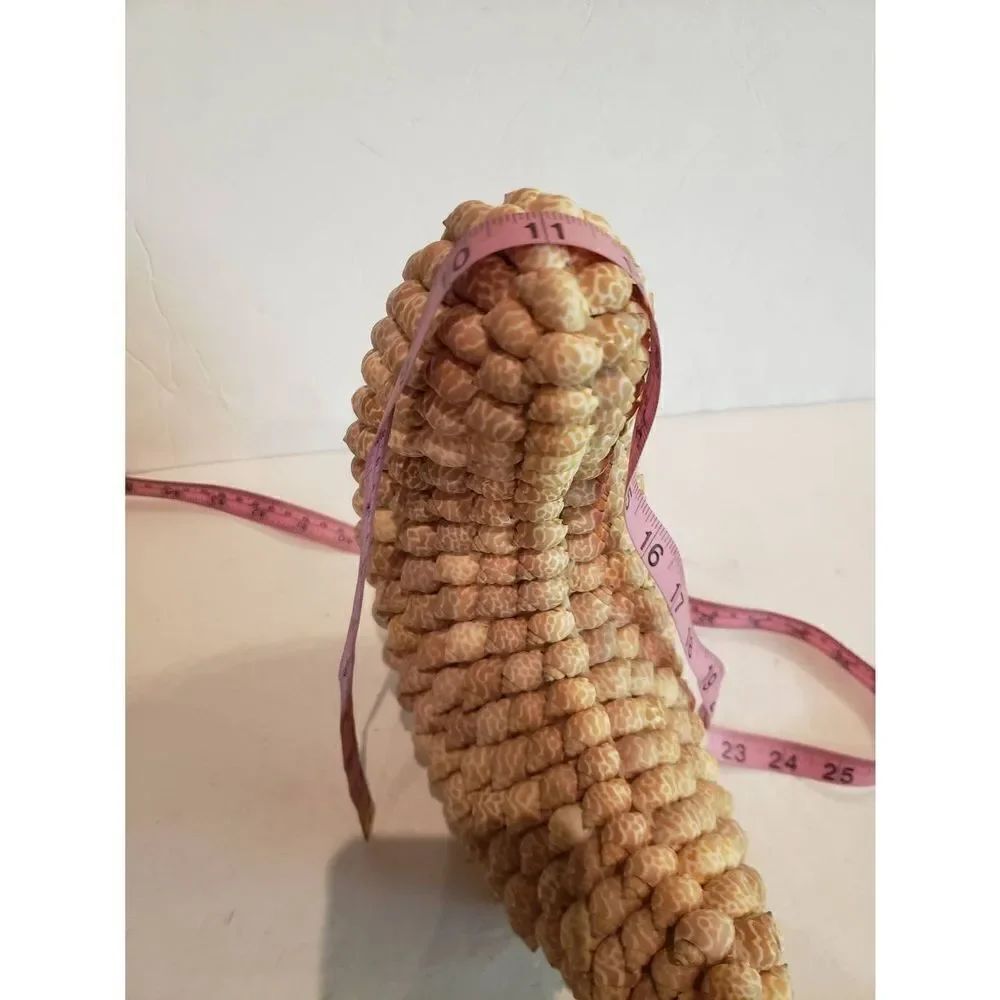 VTG Crescent Moon of Shells - Picture 6 of 9